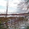 Stour Valley Flood  Jan 2019