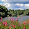 River North Tyne, Bellingham