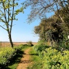Anna's Walk