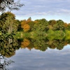Fleets Dam, Barnsley
