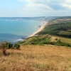 Golden cap