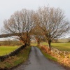Winter Lane near Thornhill, Dumfries & Galloway