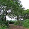 Exit gate from Tidwell Woods