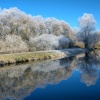 Hoar frost on River Nene, Northamptonshire.