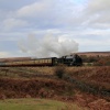 North York Moors