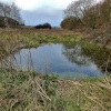 Pond near Storrs Wood, Cudworth