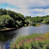 River North Tyne, Bellingham