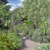 Abbeywood Gardens, Delamere