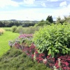 Abbeywood Gardens, Delamere