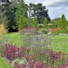 Abbeywood Gardens, Delamere