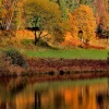 Dalby Forest
