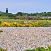 Dungeness Shingle Fields & The Old Water Tower