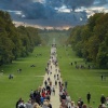 Windsor great park