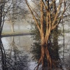 Eton Parks