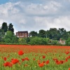 Poppy Fields on the Coverdale near Craven Arms South Shropshire