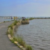 An arm of Chichester Harbour at Emsworth