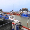 Whitstable Harbour