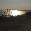 View of Mudeford Quay and Hengistbury Head from Highcliffe