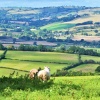 Looking across the Clun Valley.