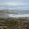 The coast at Seahouses