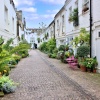 Lots of Greenery to Brighten Up Stanhope Mews in South Kensington