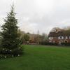 Christmas tree on Burton village green plus house, near Christchurch