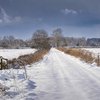 Fresh Snow