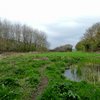 Storrs Mill Wood Cudworth South Yorkshire England