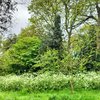 Wonderful lush vegetation in Druitt gardens, Christchurch