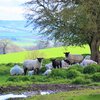 A picture of Craven Arms