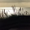 Picturesque coastal scene in Bournemouth
