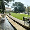 Lovely stream in the Lower Gardens in Bournemouth