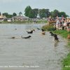Badminton Horse Trials, Gloucestershire 2024