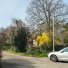 Quintessential thatched thatched country cottage near Christchurch