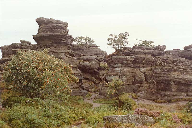 Brimham Rocks, Near Harrogate