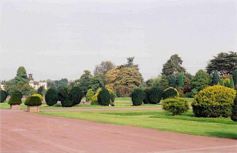 A picture of Trentham Gardens