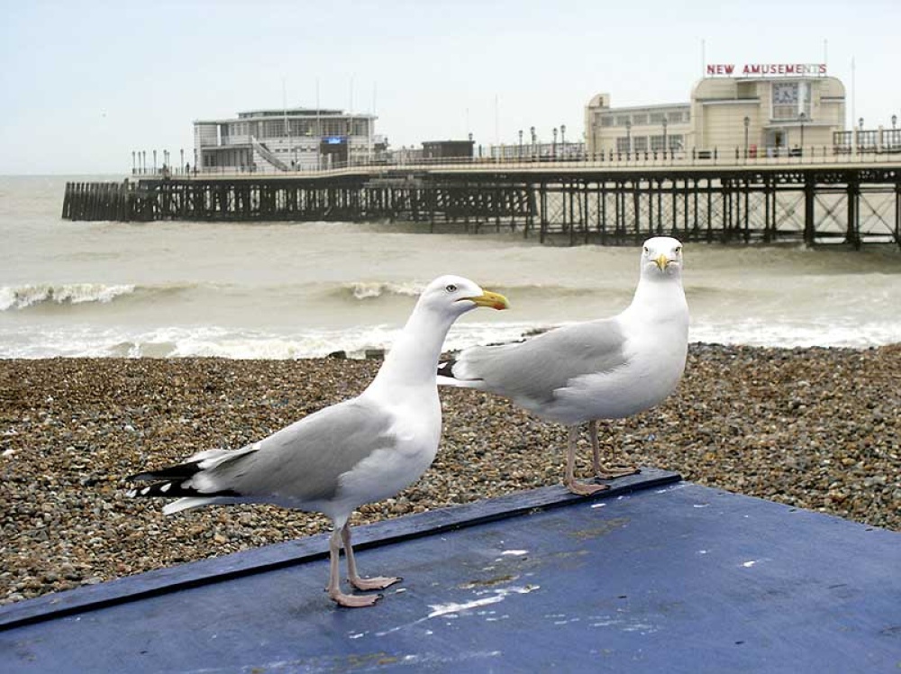 A picture of Worthing