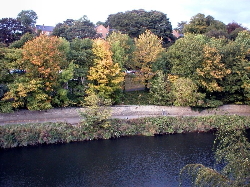 Riverside in the fall