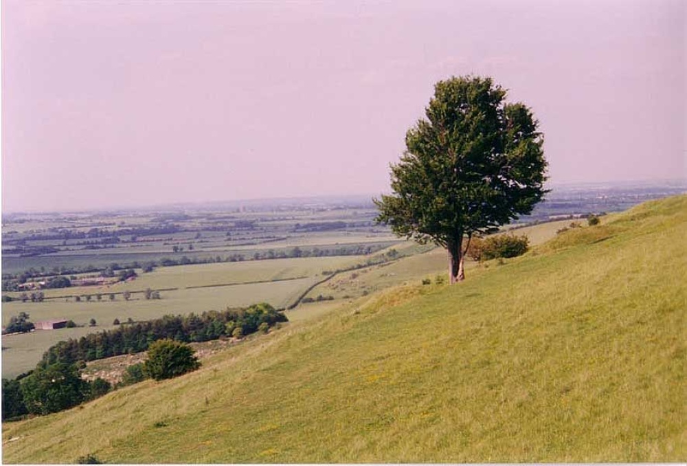 Pegsden Hills on the Herfordshire - Bedfordshire border