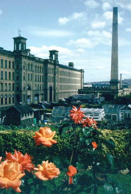 A picture of Bradford