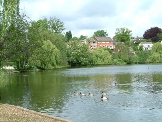 Photograph of The Mere. Diss