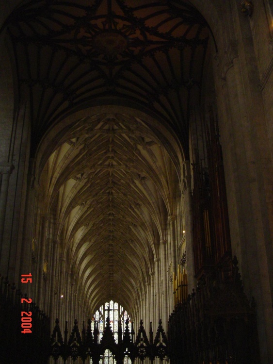 Winchester Cathedral Ceiling