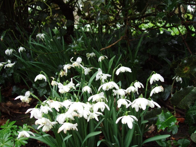 In the churchyard at Gisleham, Suffolk