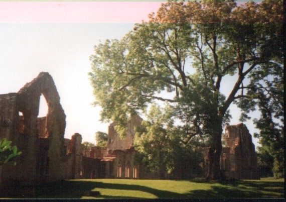 Netley  Abbey