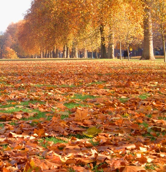 Hyde Park in Autumn glory