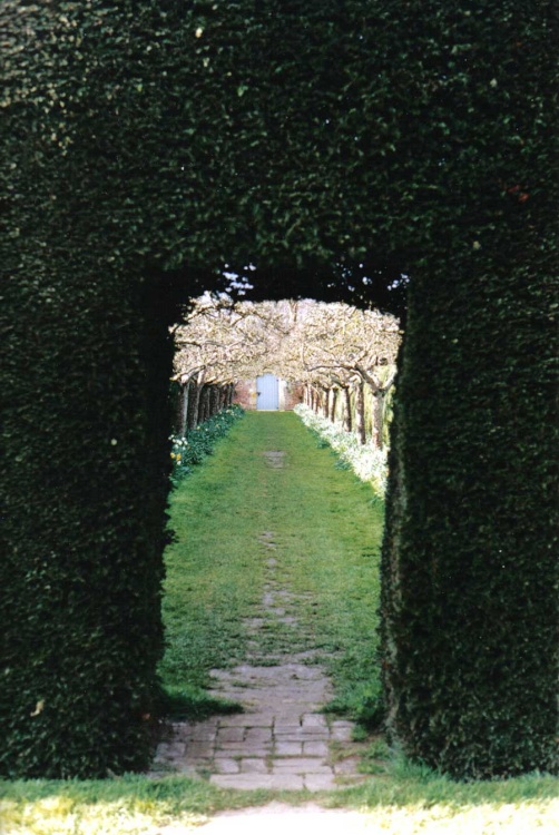 A hedge door at Penshurst Place and Gardens. Spring, 1999