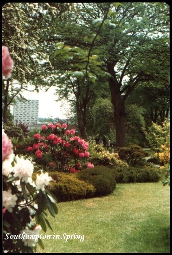 Palmerston Garden