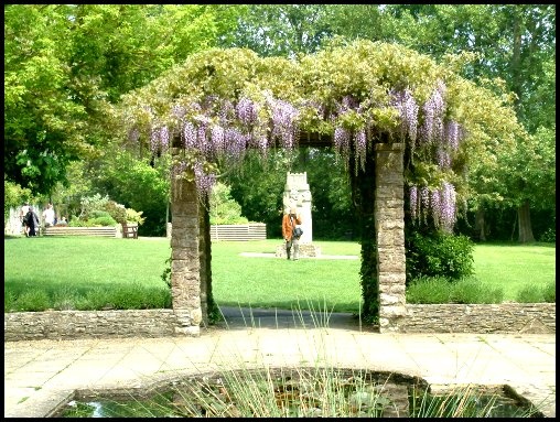 The gardens beside the church contain a quiet area and pool and this wisteria covered arch.