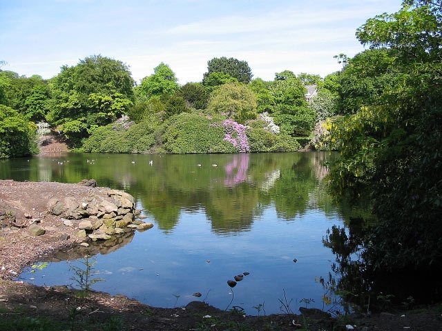 A view of the lake in Corporation Park, Blackburn.
