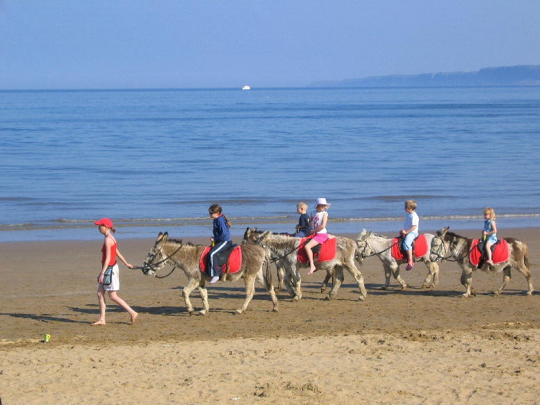 Donkey Ride, South Beach, Scarborough